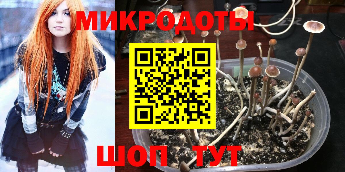 Псилоцибиновые грибы ЛСД Ликино-Дулёво