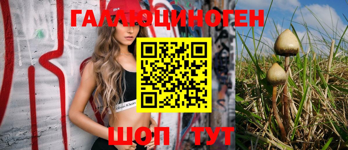 Галлюциногенные грибы Psilocybe  Галлюциногенные грибы Psilocybe  Вход с VPN  Ликино-Дулёво 